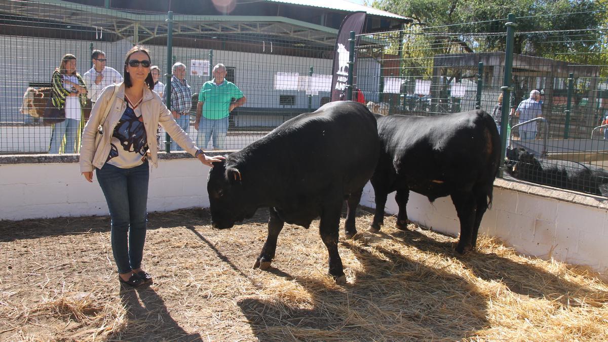 La ganadera Carlota Daza, esta mañana, junto a ejemplares de Angus en la FIG.