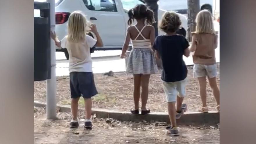 Las ratas estropean la primera tarde de parque de los niños de Castelló en su vuelta al cole