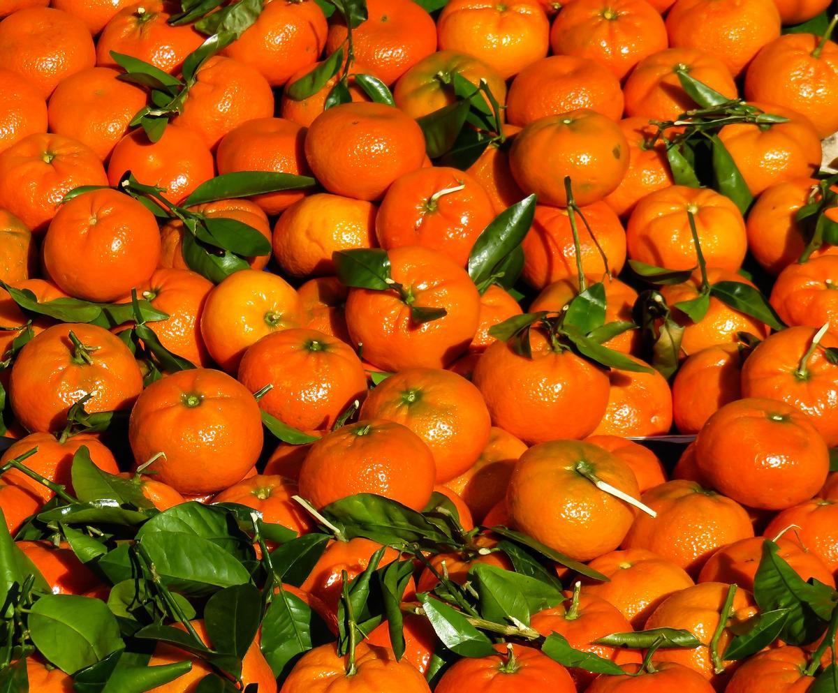 Toma cuatro mandarinas al día para bajar de peso.