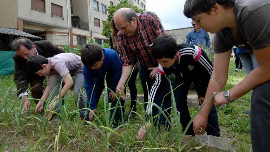 Jóvenes y mayores trabajando en el huerto.