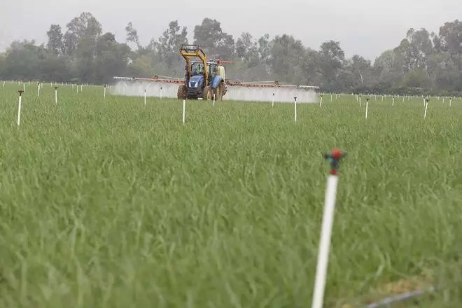 Los efectos del paso de la borrasca Nelson en el campo cordobés