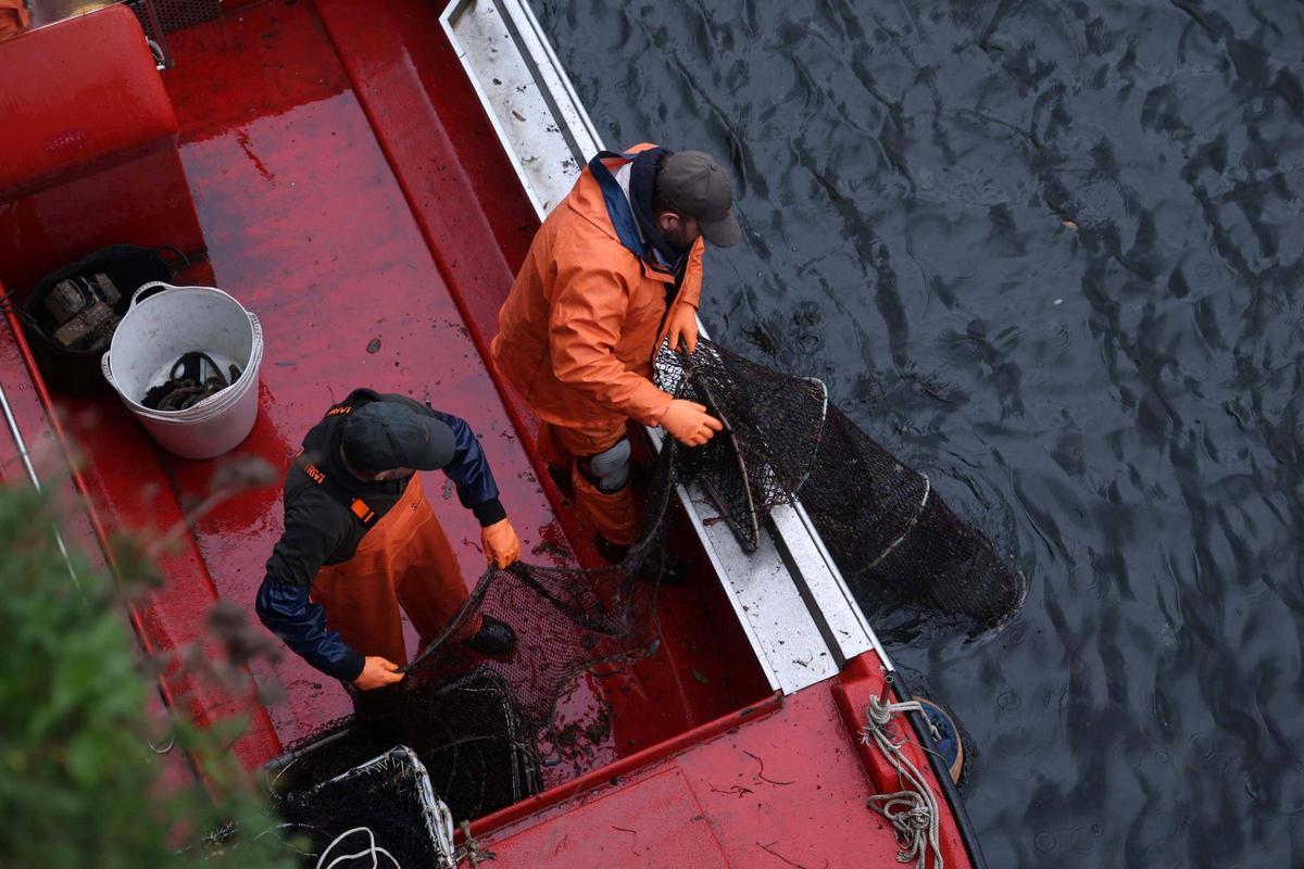 Así se pescan las primeras lampreas de la temporada.