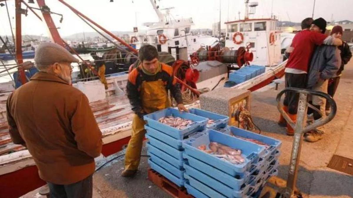 Una imatge d'arxiu de pesca a Palamós.