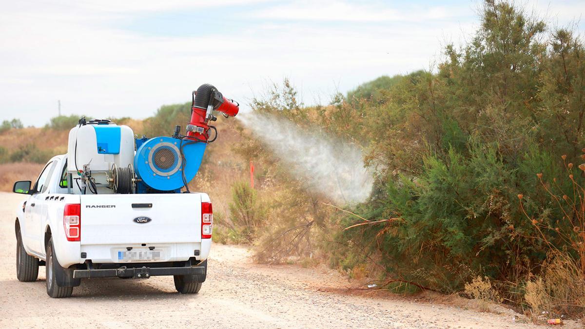 Proceso de fumigación contra el Virus del Nilo.