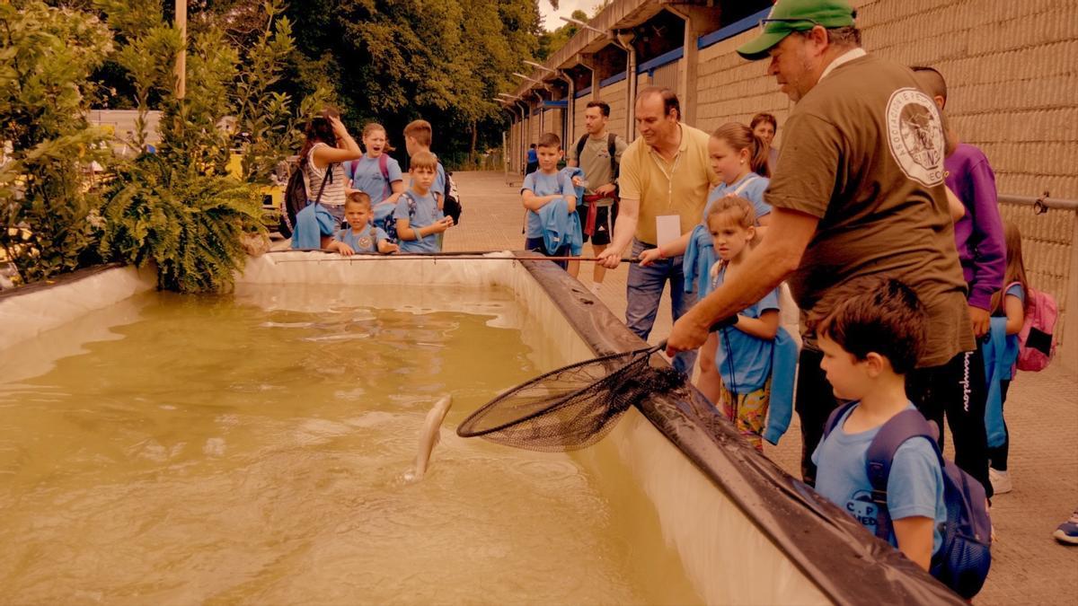 Zona de pesca.