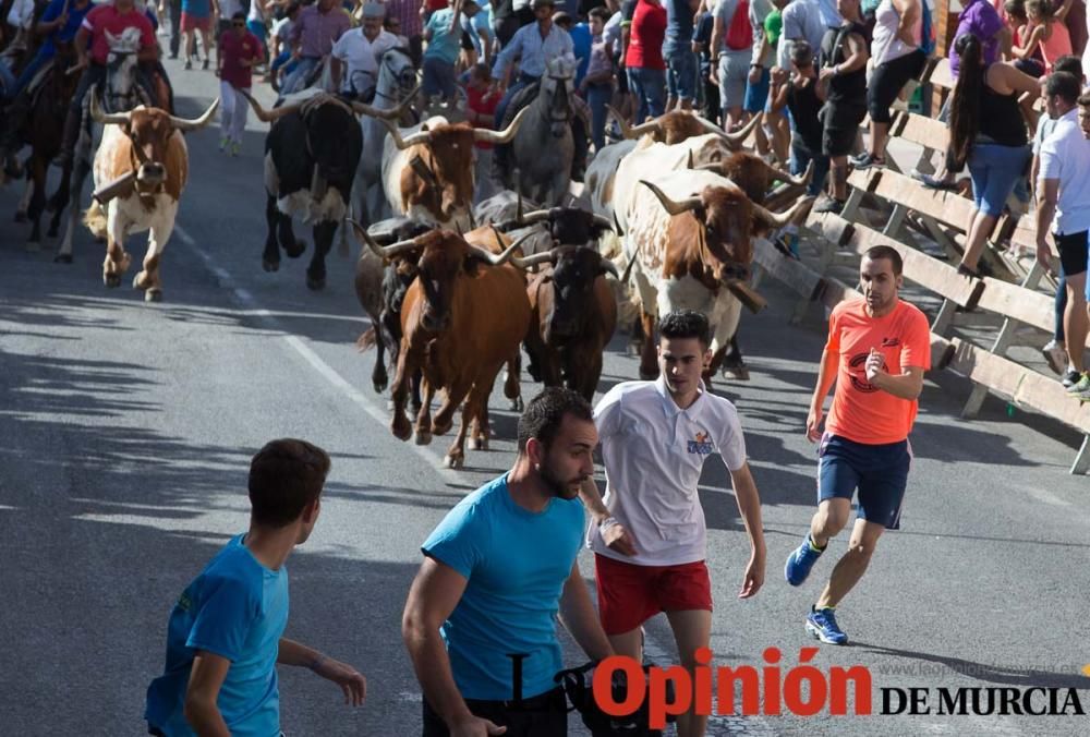 Primer encierro Fiestas de Moratalla