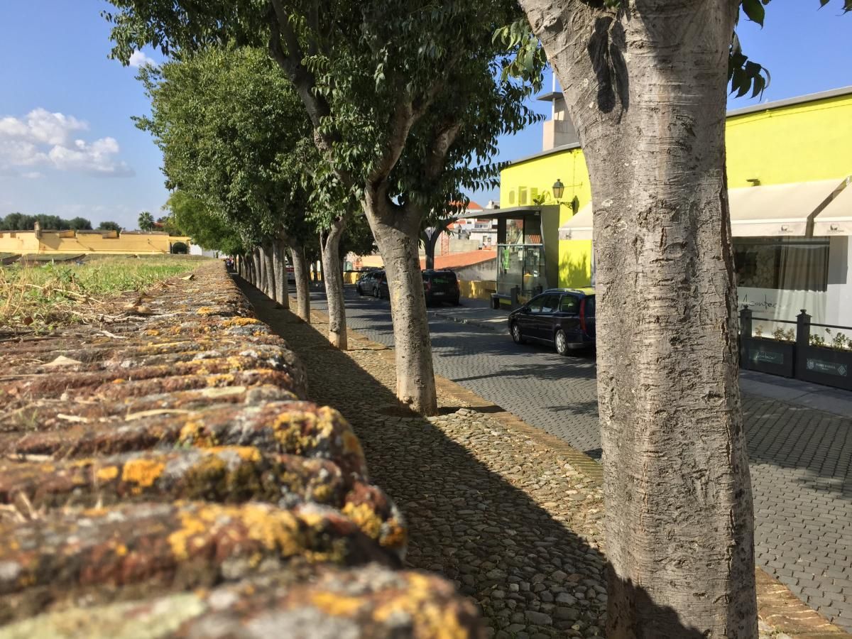 Restaurante Acontece, Elvas (Portugal)