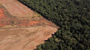 Vista aérea de una zona deforestada en la Amazonia, en el estado brasileño de Mato Grosso.