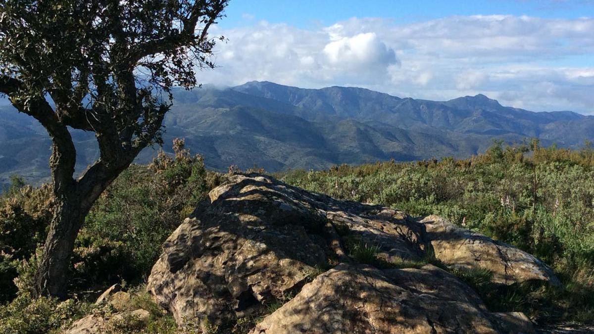 Una imatge del parc natural