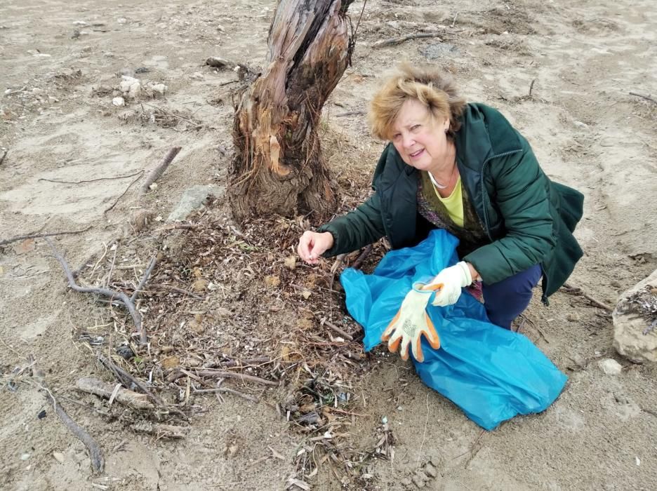 Voluntarios se lanza a las playas de Dénia a retirar la basura escupida por Gloria