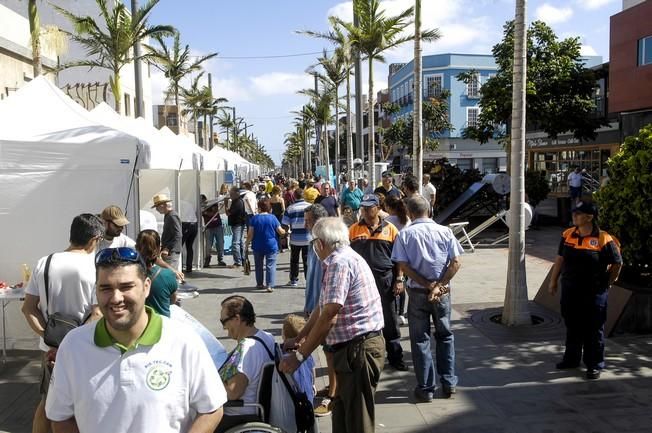 INAUGURACION DE LA FERIA DEL SOL