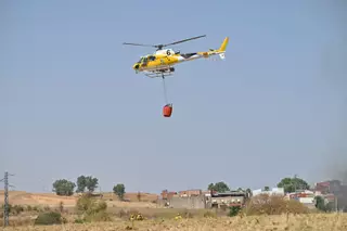 EN IMÁGENES | La lucha contra el fuego en La Banasta (Badajoz)