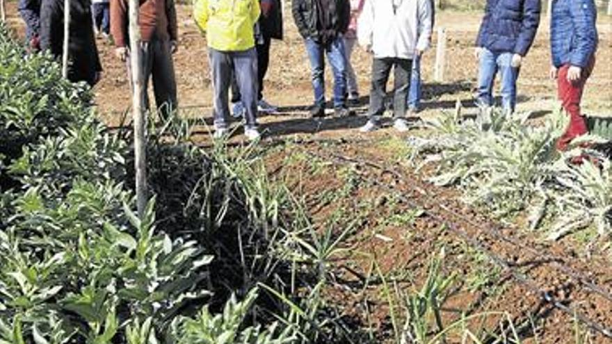 Asignan nuevas parcelas de los huertos urbanos tras ampliarlos