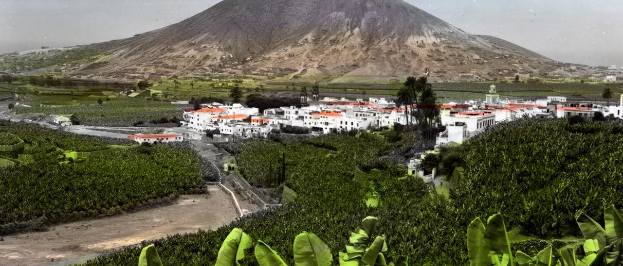 Vista de los cultivos de plátanos en los municipios de Guía y Gáldar a comienzos del siglo pasado.