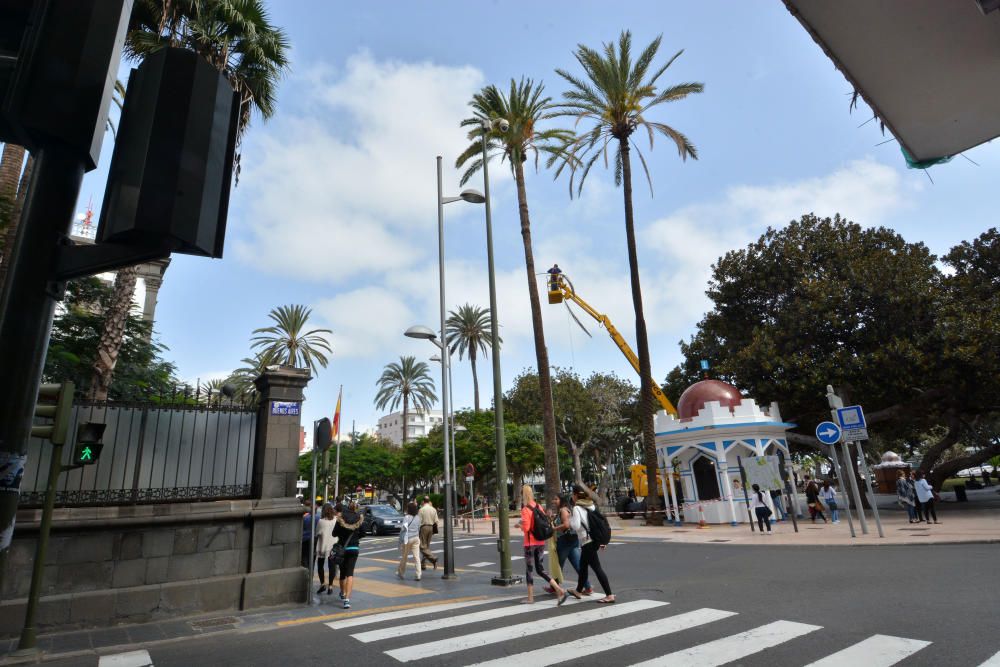 PODA PALMERA SAN TELMO