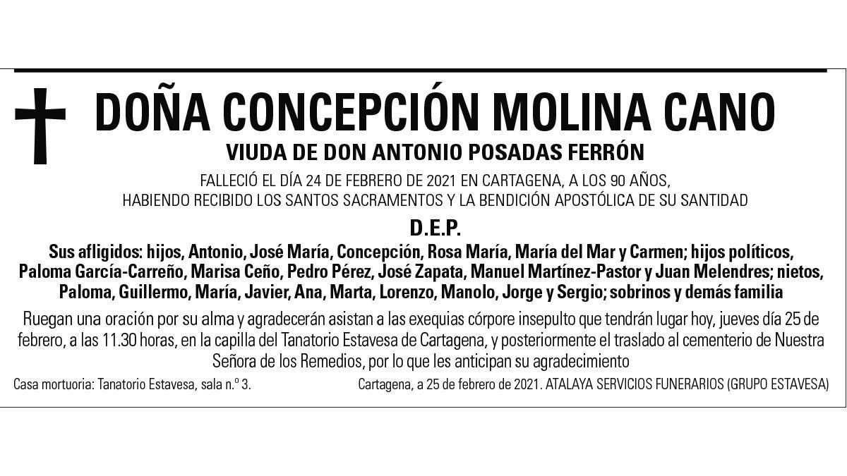 Dª Concepción Molina Cano