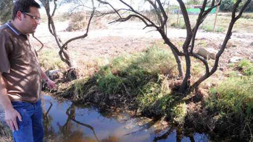 Aguas contaminadas junto a El Hondo