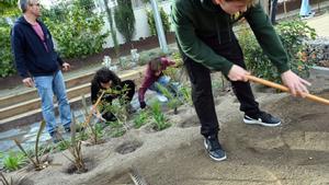 Espanya ha de formar un milió de joves en ocupacions verdes