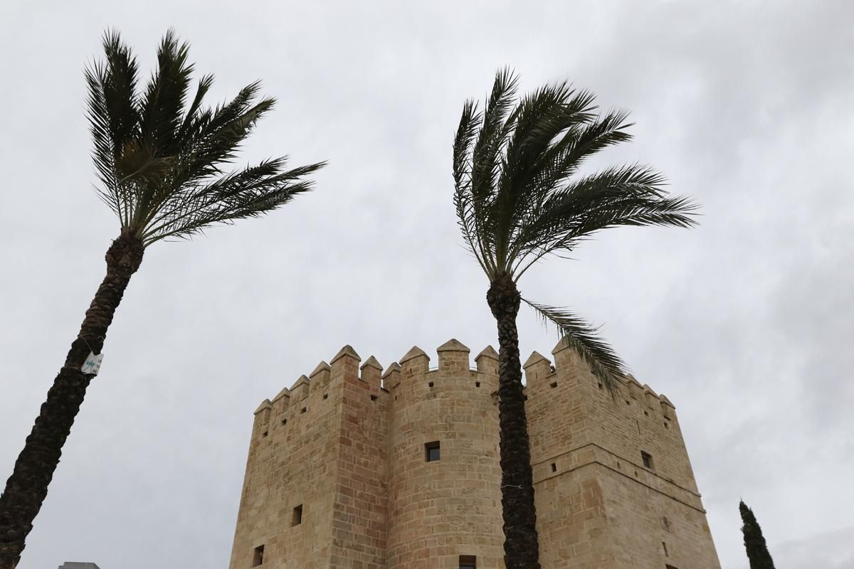 La lluvia en Córdoba deja una decena de incidencias