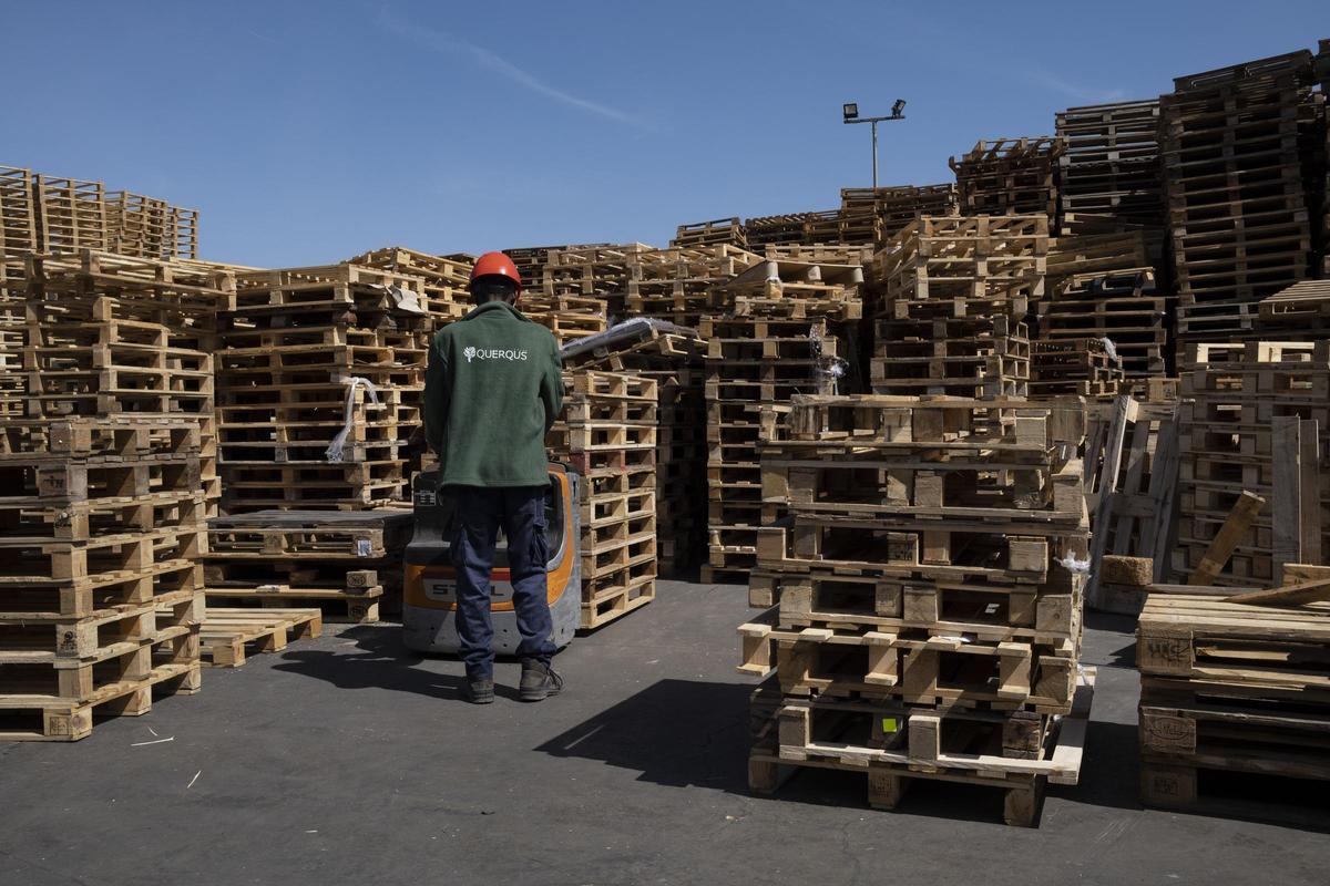 Querqus está transformando el sector del palet y el embalaje de madera con una fuerte apuesta por la innovación.