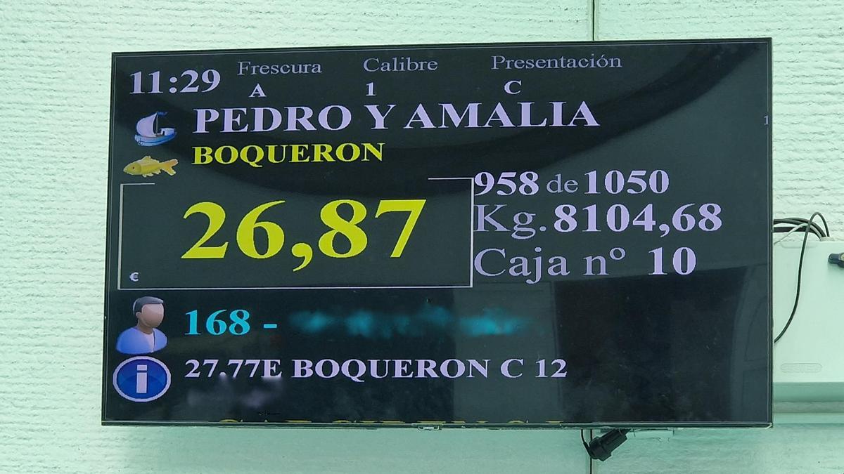 Un momento de la subasta en la que observa el precio medio por caja de boquerón en primera venta de subasta a la baja