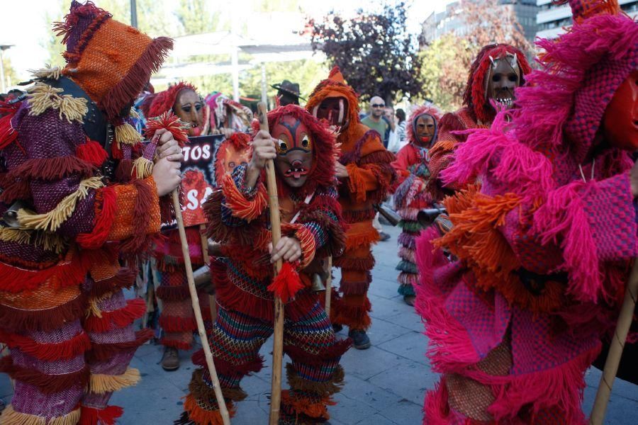 Las Mascaradas toman Zamora