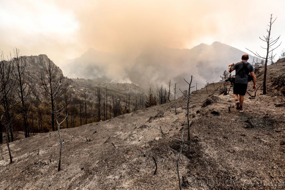 La superficie afectada abarca suelo de Bolulla, Tárbena, Callosa d´en Sarrià y Xaló