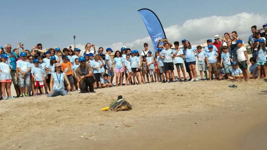 La Escuela de Verano del Oceanogràfic acompaña al mar a la tortuga &quot;Gandia&quot;