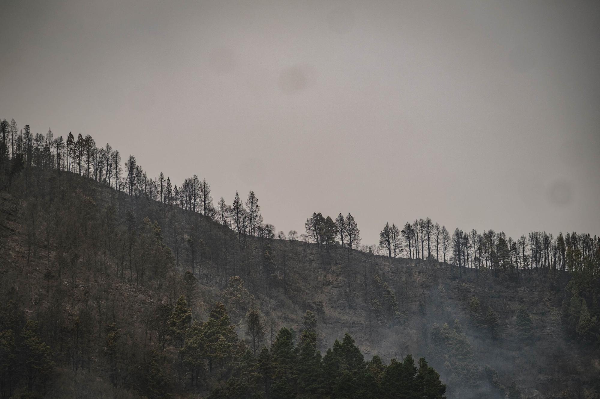 El incendio de Tenerife sigue activo