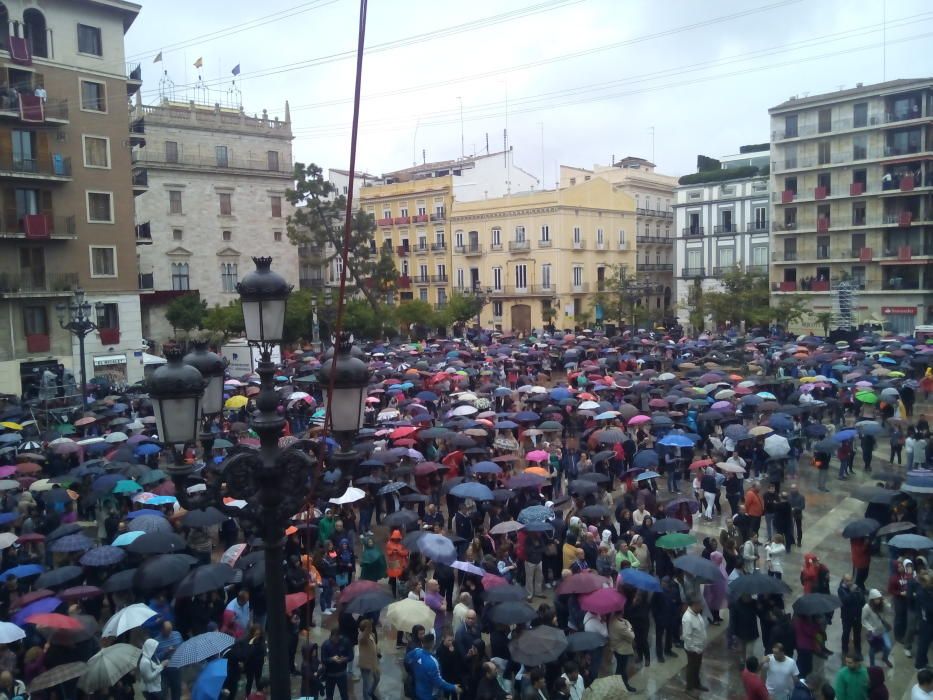 Festividad de la Mare de Déu