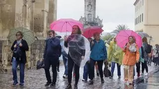 La lluvia dejará hasta 30 litros de agua esta semana en Córdoba