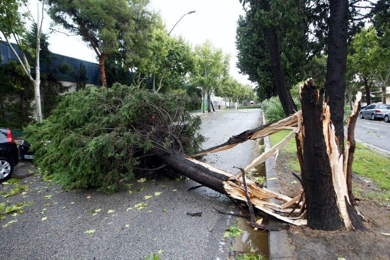 Fuerte tormenta en Zaragoza