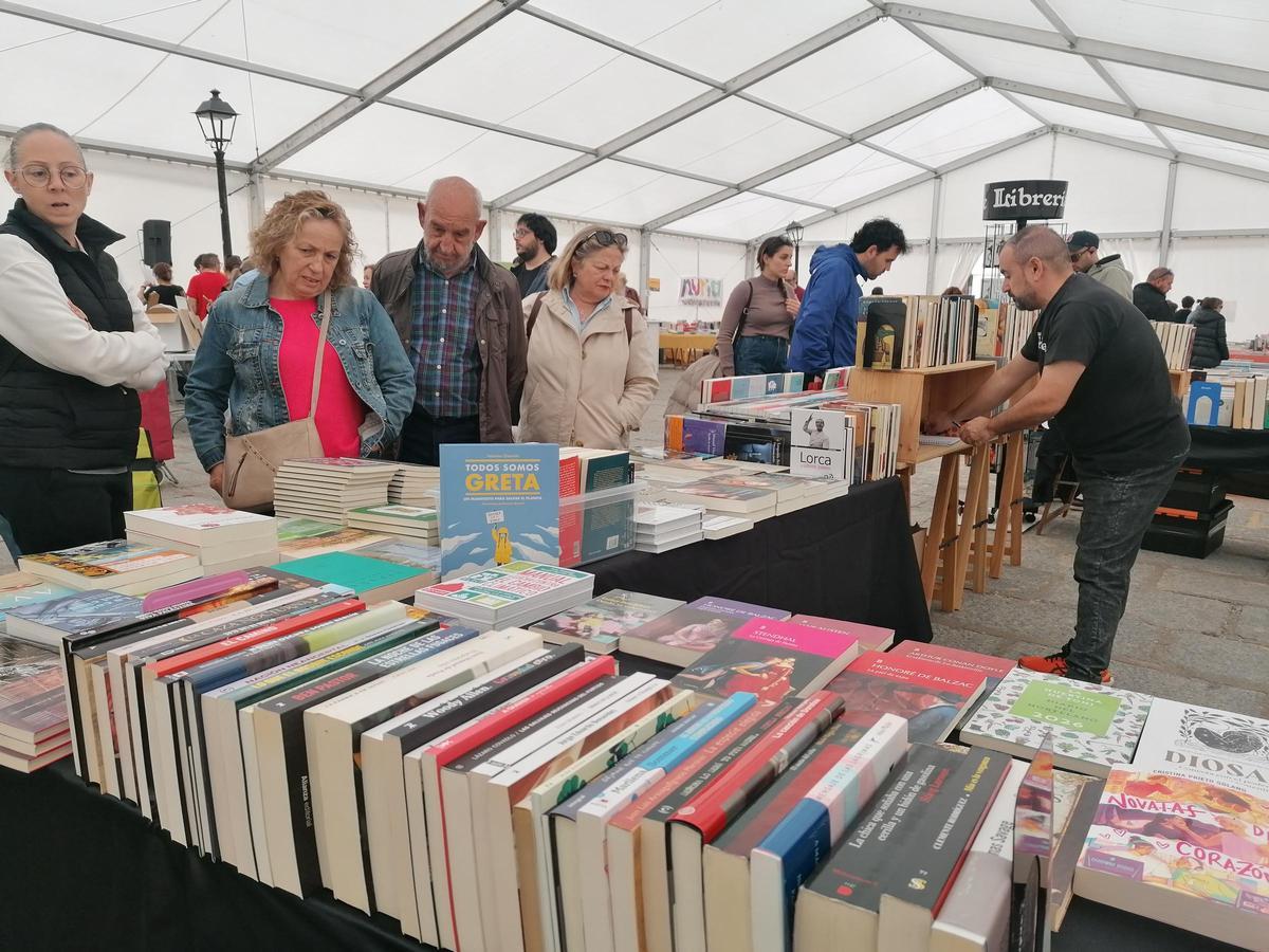 GALERÍA | La Feria del Libro de Toro, una cita con la cultura