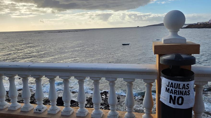 Adiós a las piscifactorías de Melenara: Aquanaria tiene previsto desmantelar las jaulas antes de 2029