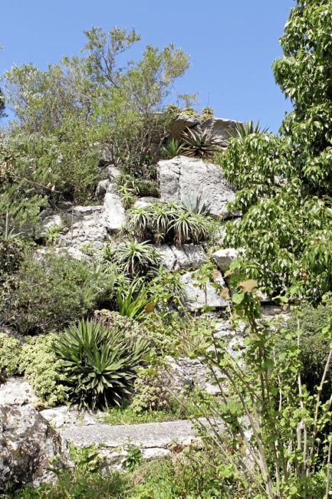 Einer der schönsten Winkel der Insel - das Tal und der Garten von Ariant - kann wieder bei geführten Rundgängen erkundet werden.