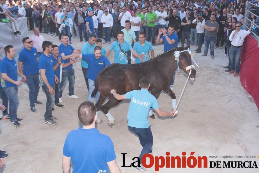 Día uno de mayo, entrada de caballos al Hoyo