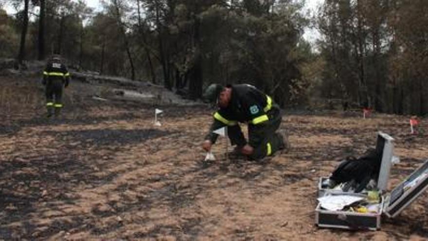 Unió de Pagesos demana que no es criminalitzi l&#039;activitat agrària per l&#039;incendi d&#039;Òdena