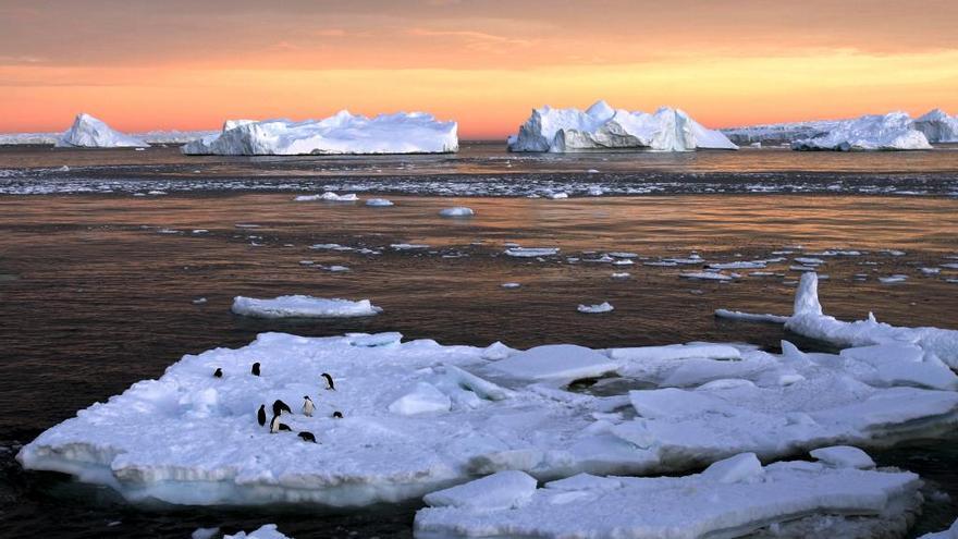 Pingüinos sobre el hielo de la Antártida