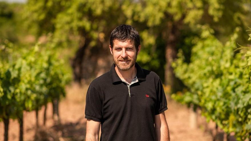 «Les últimes pluges li han anat molt bé a la planta»