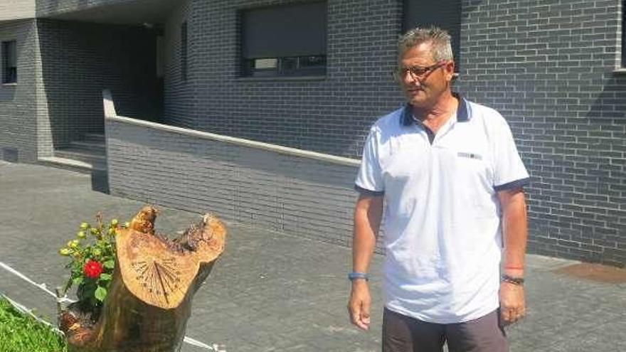 Un allerano esculpe un reloj de sol en un tronco del bosque de Los Fueyos