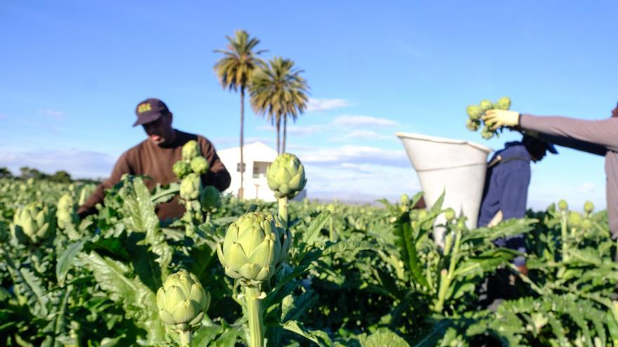 La UMH aprovechará el lodo de las depuradoras para la agricultura gracias a la Inteligencia Artificial