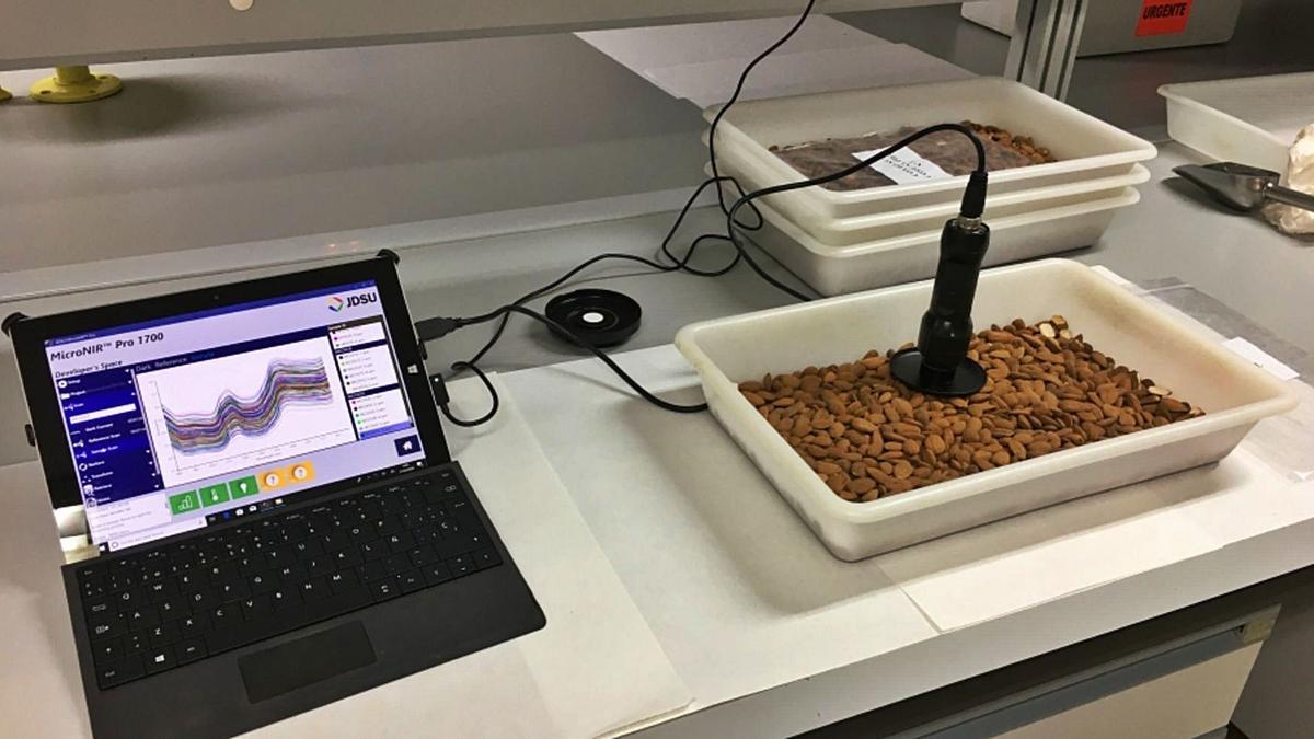 La tecnología NIRS permite detectar si una almendra es dulce o amarga a través de su espectro. 
