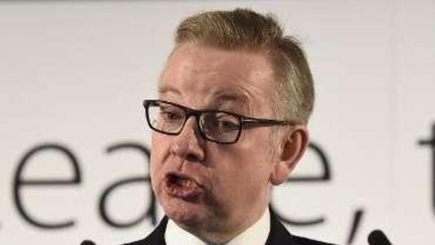 Michael Gove. // FdV