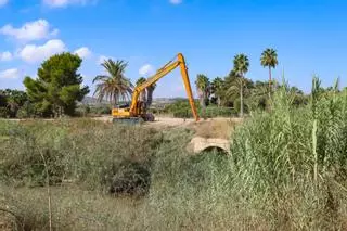 La CHS retira cañas y residuos de la rambla del Derramador a su paso por Jacarilla