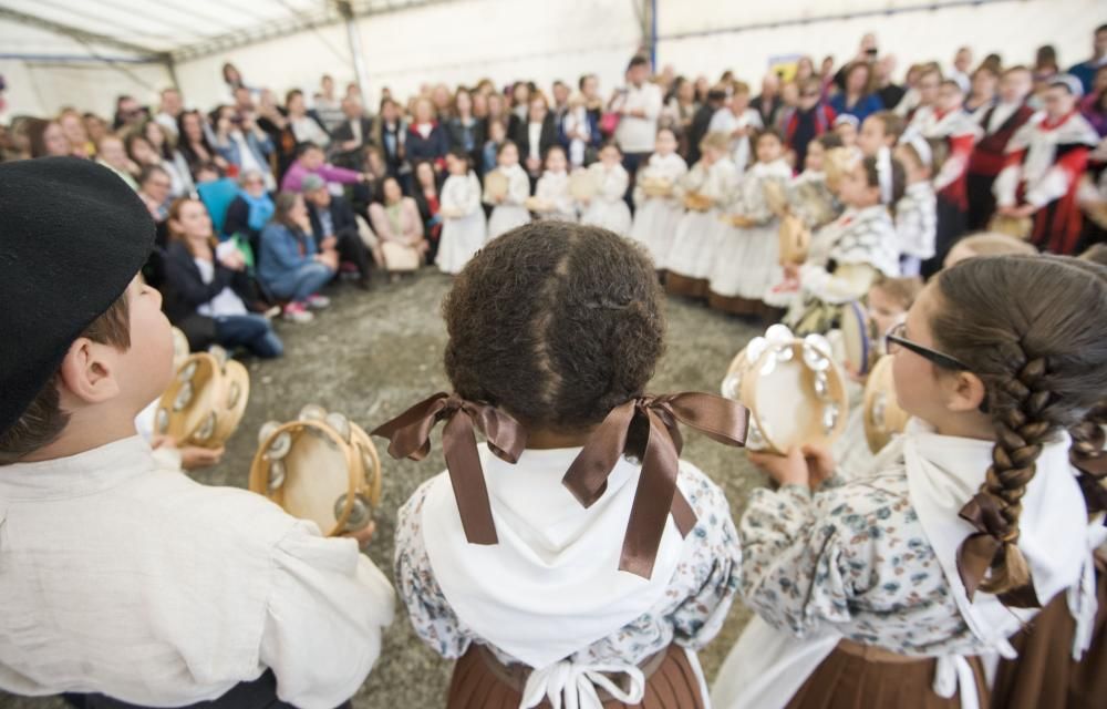 Fiesta de San Marcos en Nós-Oleiros