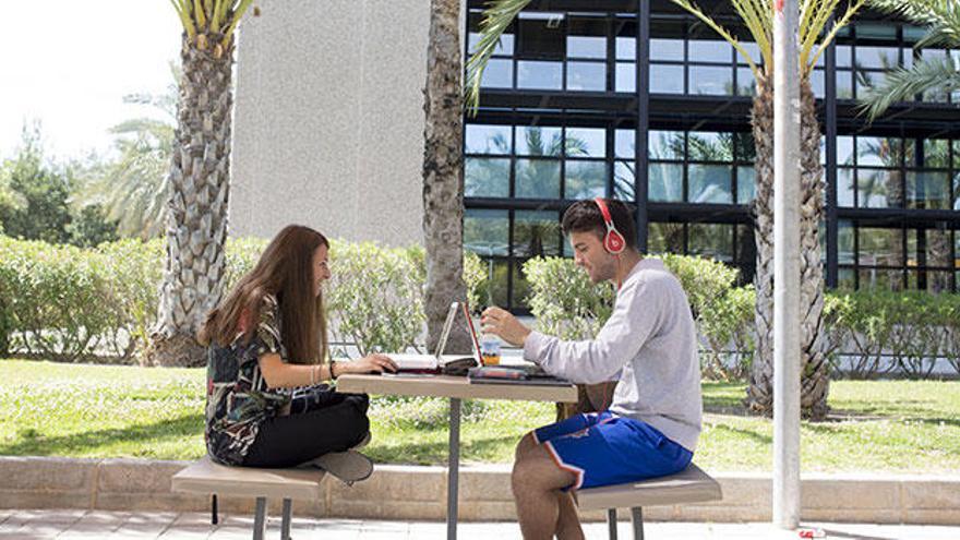 La Universidad Miguel Hernández (UMH) pone a disposición de aquellos interesados el Banc de la Selectivitat