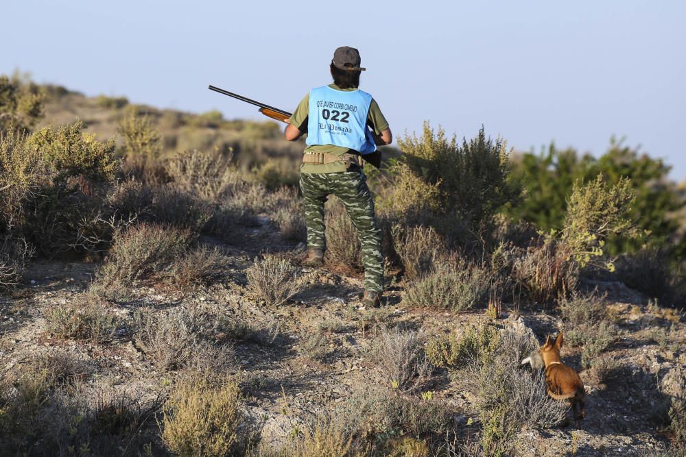 Diez mil cazadores inician la temporada de caza del conejo