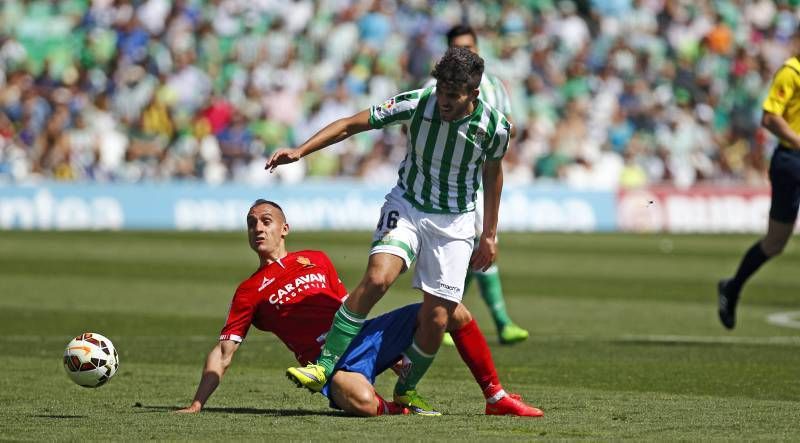 Fotogalería del Real Zaragoza contra el Betis en el Benito Villamarín