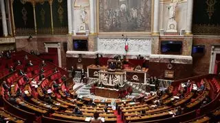 "¡Es un cerdo, defiende un genocidio!": el conflicto de Israel y Palestina tensa la Asamblea Nacional de Francia
