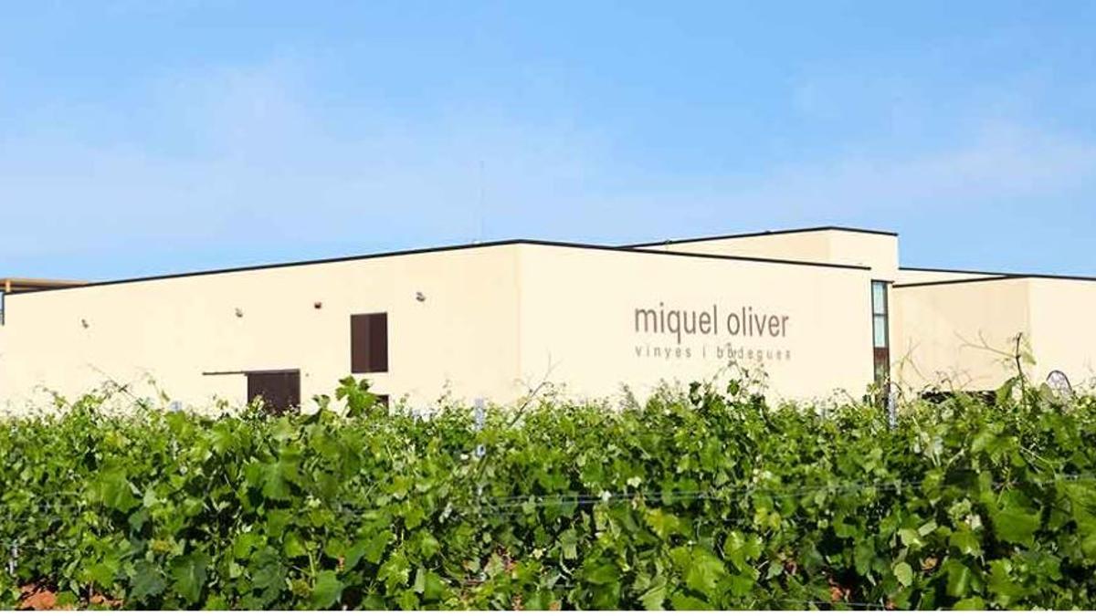 Die Gebäude der Miquel Oliver Bodegas liegen inmitten von Weinstöcken.